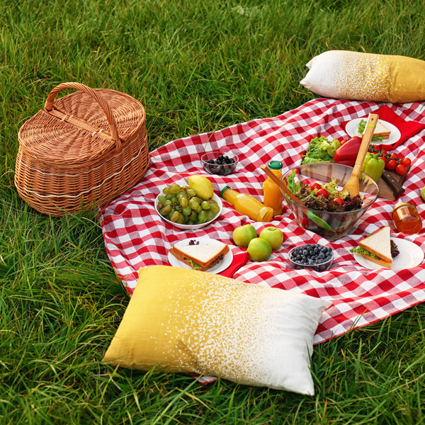 Ανοιξιάτικο picnic σε γρασίδι με φαγητό, φρούτα και καλάθι picnic.